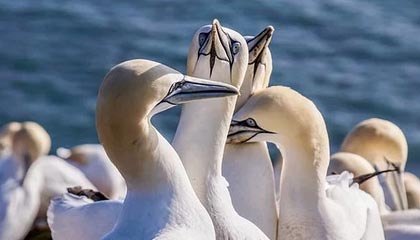 开云体育官方app-开云体育官网：引领新时代线上娱乐新体验